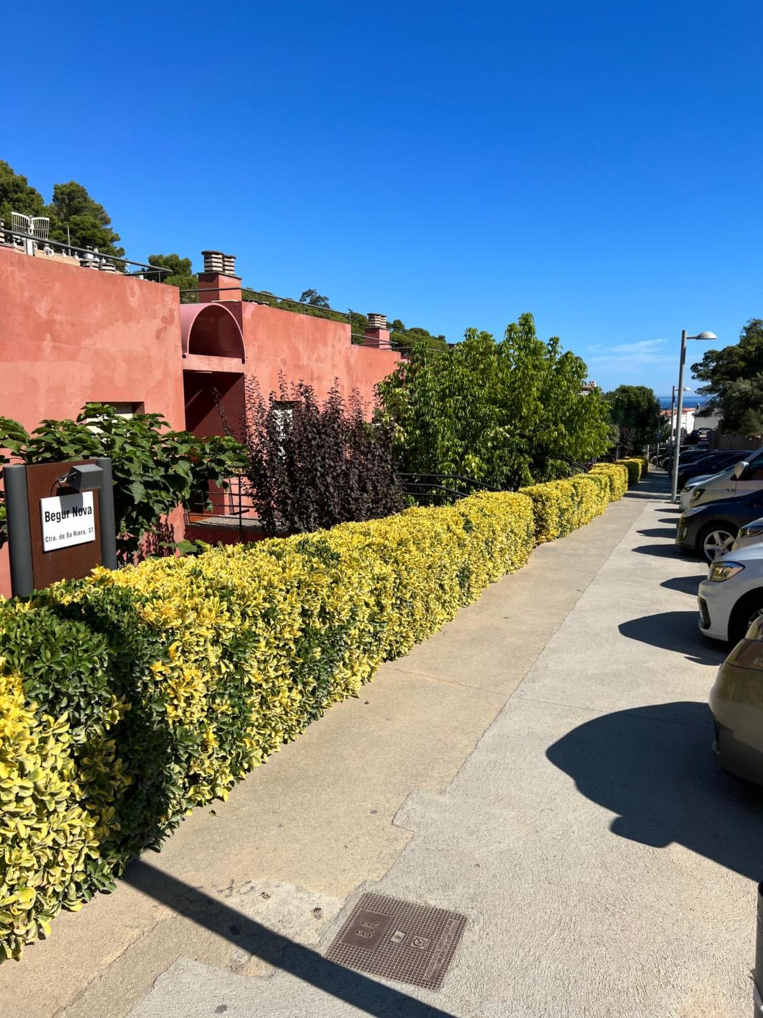 Ferienwohnung Ap21-Sa Riera Begur Exterior foto